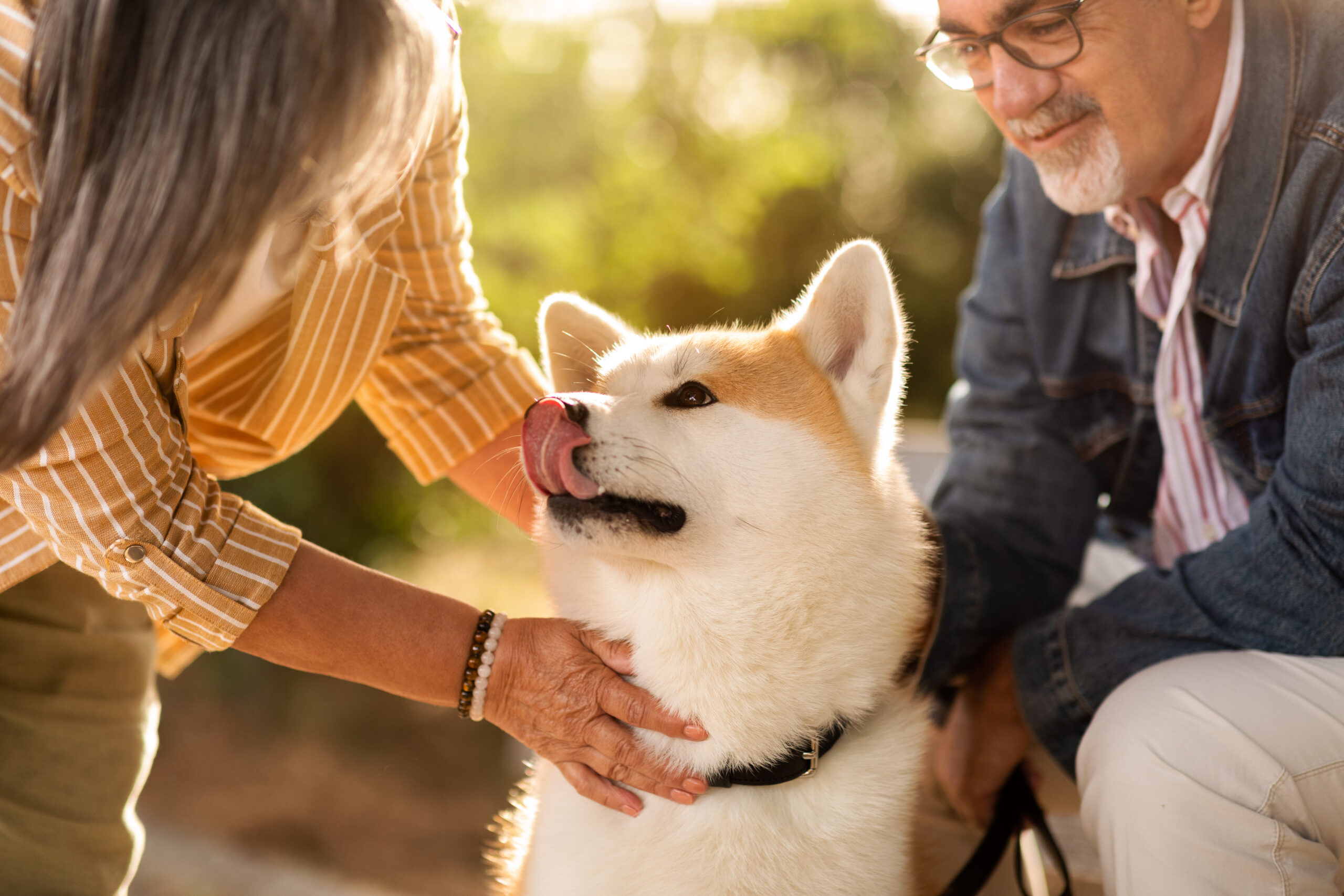 Blessing of Pets